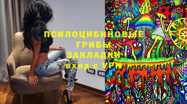 ешки Алексин