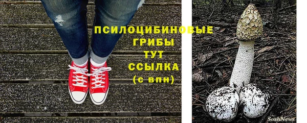 ГАЛЛЮЦИНОГЕННЫЕ ГРИБЫ Алзамай