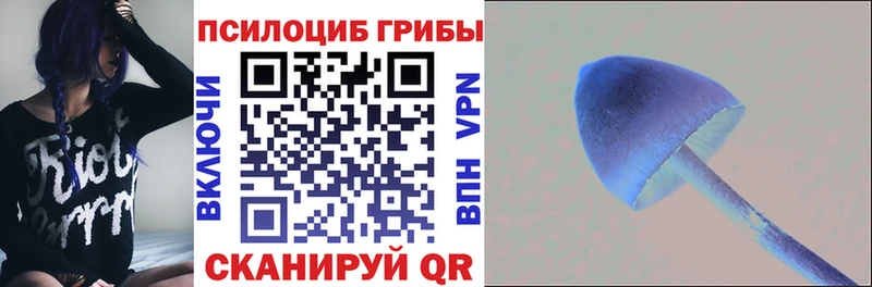 Псилоцибиновые грибы прущие грибы Волгодонск